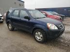 Franklin, WI에서 판매 중인 2006 Honda Cr-V Lx - Rear End