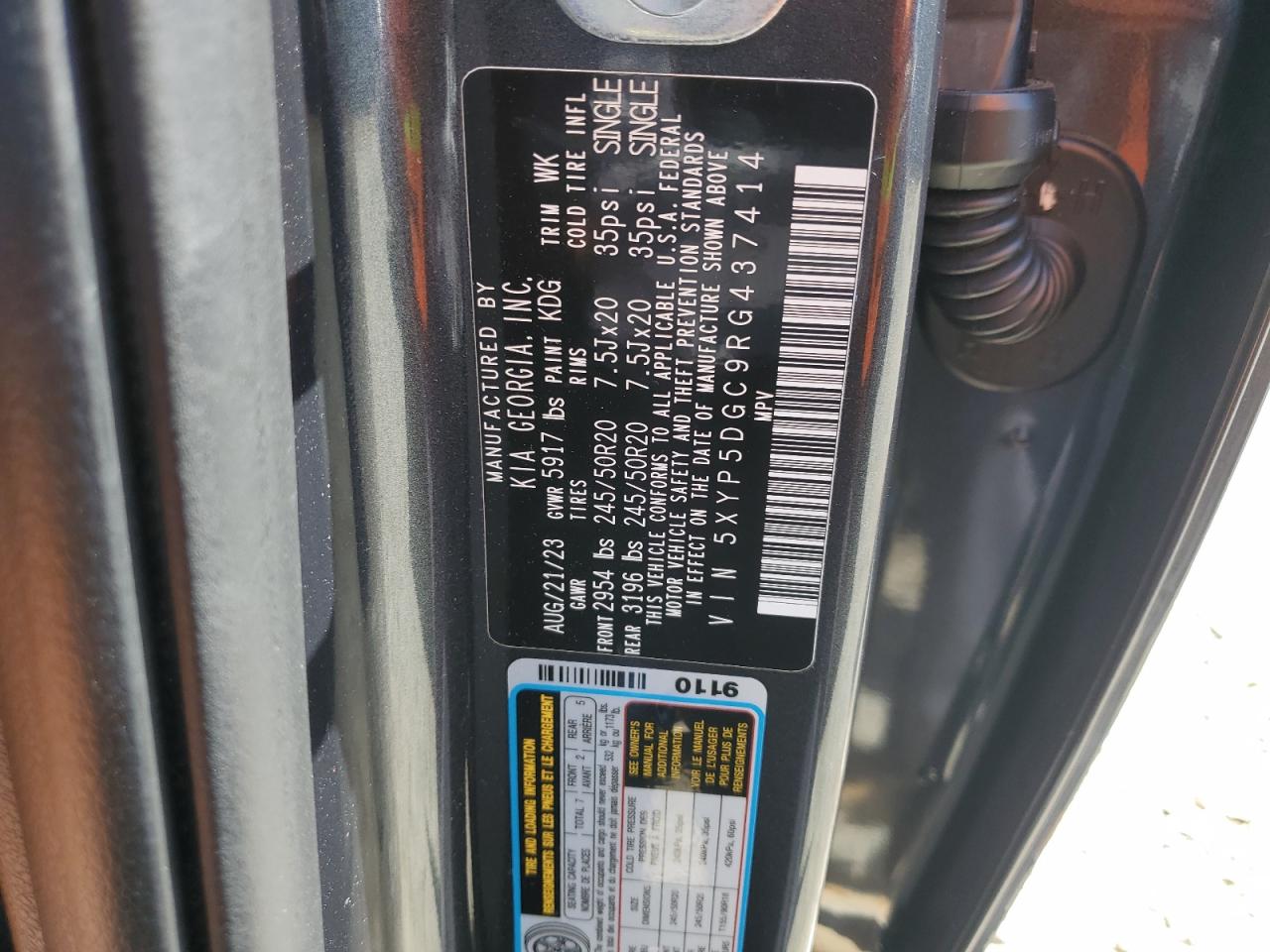2024 Kia Telluride Sx VIN: 5XYP5DGC9RG437414 Lot: 56765505