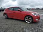 2013 Hyundai Veloster  იყიდება Earlington-ში, KY - Hail