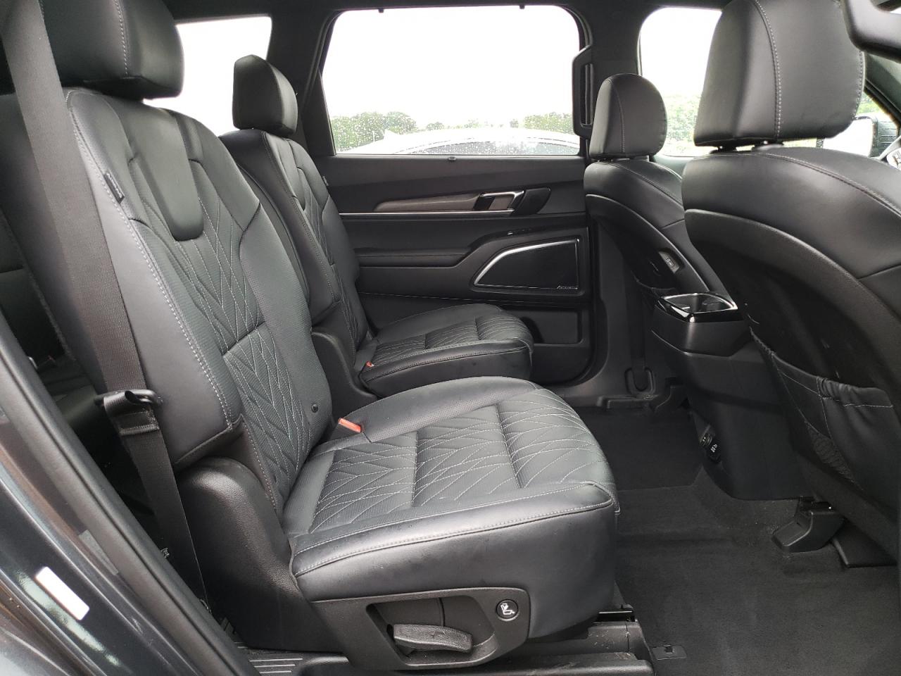 2023 Kia Telluride Sx VIN: 5XYP5DGC5PG383252 Lot: 56823355