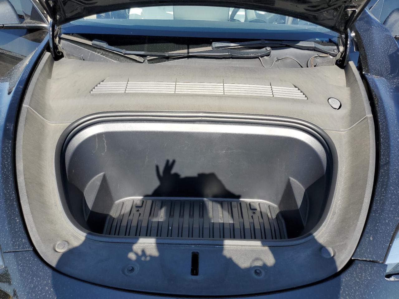 2023 Tesla Model Y VIN: 7SAYGDEE0PA116286 Lot: 56168605