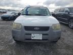 2001 Ford Escape Xls за продажба в Earlington, KY - Hail