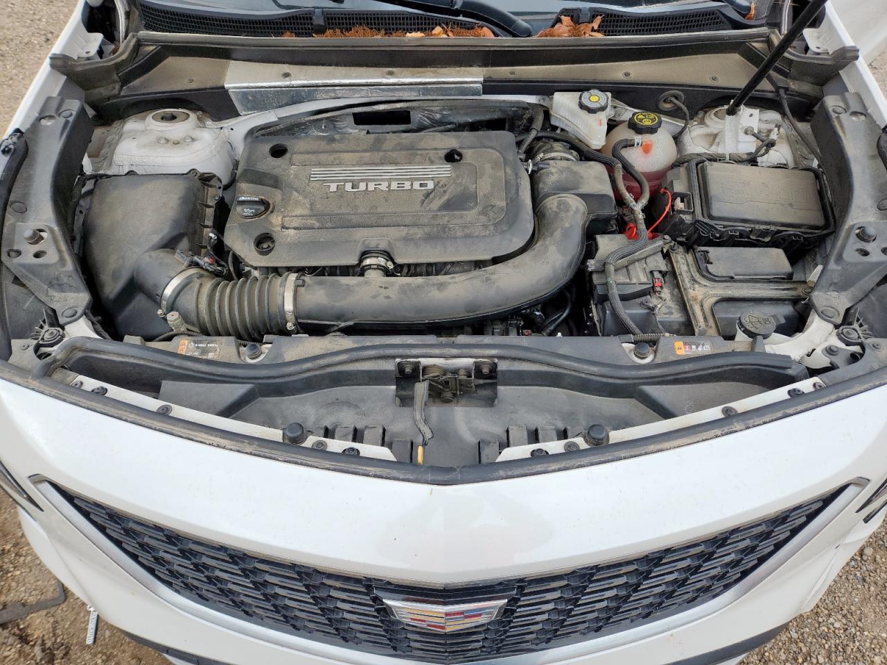 2019 Cadillac Xt4 Premium Luxury VIN: 1GYFZCR47KF187612 Lot: 58208585