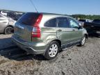 2007 Honda Cr-V Ex იყიდება Spartanburg-ში, SC - Front End