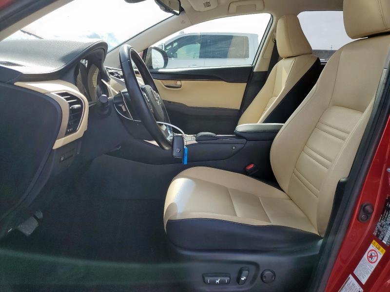  LEXUS NX 2019 Czerwony