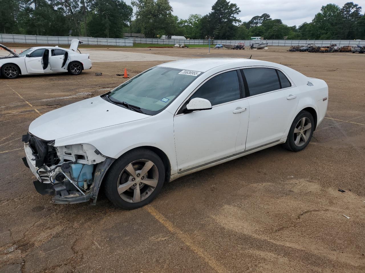 2009 Chevrolet Malibu 2Lt na sprzedaż w Longview, TX - Front End