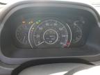 2014 Honda Cr-V Exl   for Sale in Mcfarland, WI - Hail