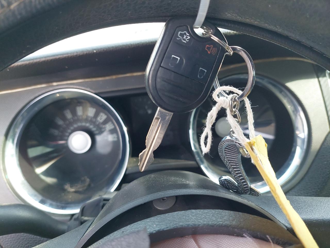 1ZVBP8AM1C5251263 - 2012 Ford MUSTANG - #undefined