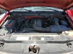 2003 Ford F150  for Sale in Cicero, IN - All Over