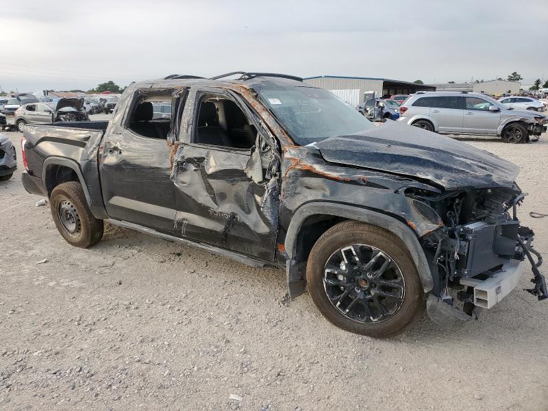  TOYOTA TUNDRA 2024 Czarny