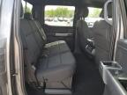 2025 Ford F150 Xlt na sprzedaż w Littleton, CO - Front End