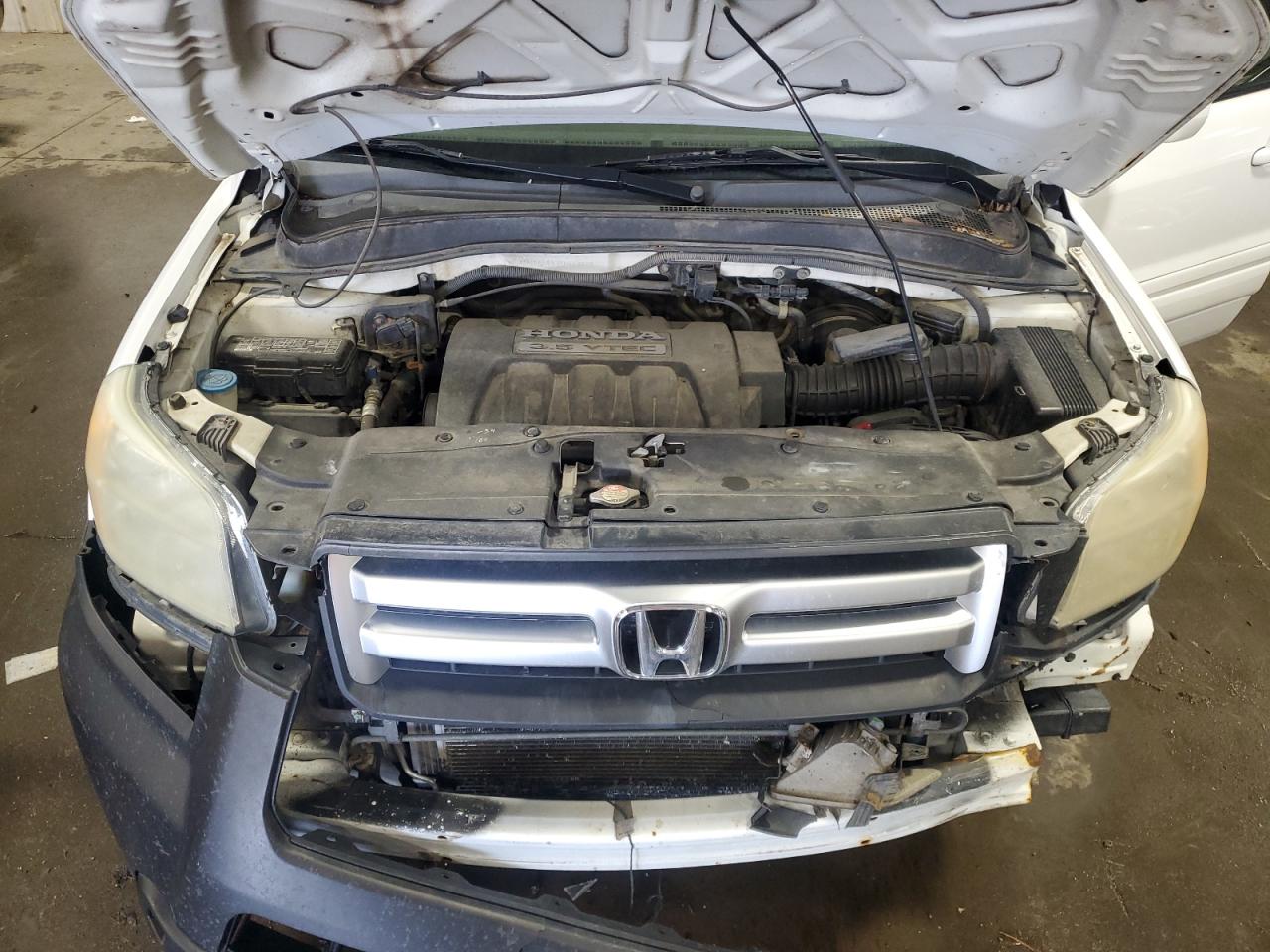 2006 Honda Pilot Ex VIN: 2HKYF18576H563808 Lot: 55517795