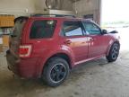 2009 Ford Escape Xlt de vânzare în Columbia, MO - Front End