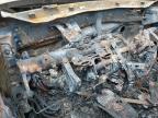Rogersville, MO에서 판매 중인 2017 Hyundai Tucson Limited - Burn