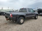 Central Square, NY에서 판매 중인 2012 Toyota Tacoma  - Rear End