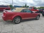 2005 Ford Mustang    for Sale in Indianapolis, IN - Front End