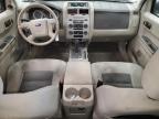 2008 Ford Escape Xlt for Sale in Blaine, MN - Side