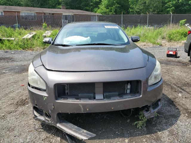 Sedans NISSAN MAXIMA 2014 Brown
