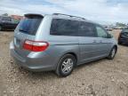 2006 Honda Odyssey Exl zu verkaufen in Elgin, IL - Front End