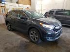 2019 Honda Cr-V Ex   en Venta en Ham Lake, MN - Rear End