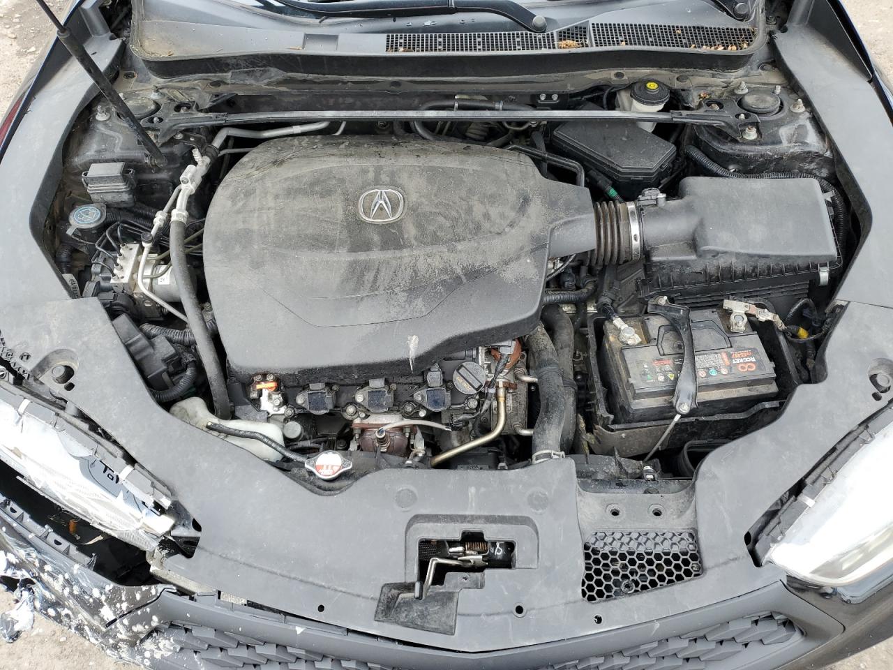 2019 Acura Tlx Advance VIN: 19UUB3F81KA003370 Lot: 57148565