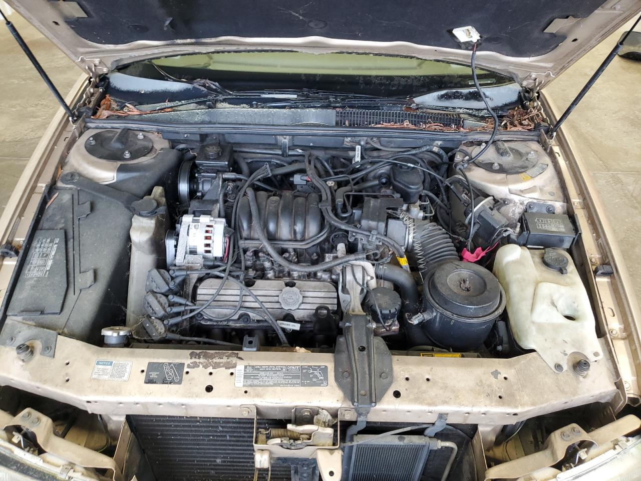 1993 Buick Regal Custom VIN: 2G4WB54L4P1411904 Lot: 56564455