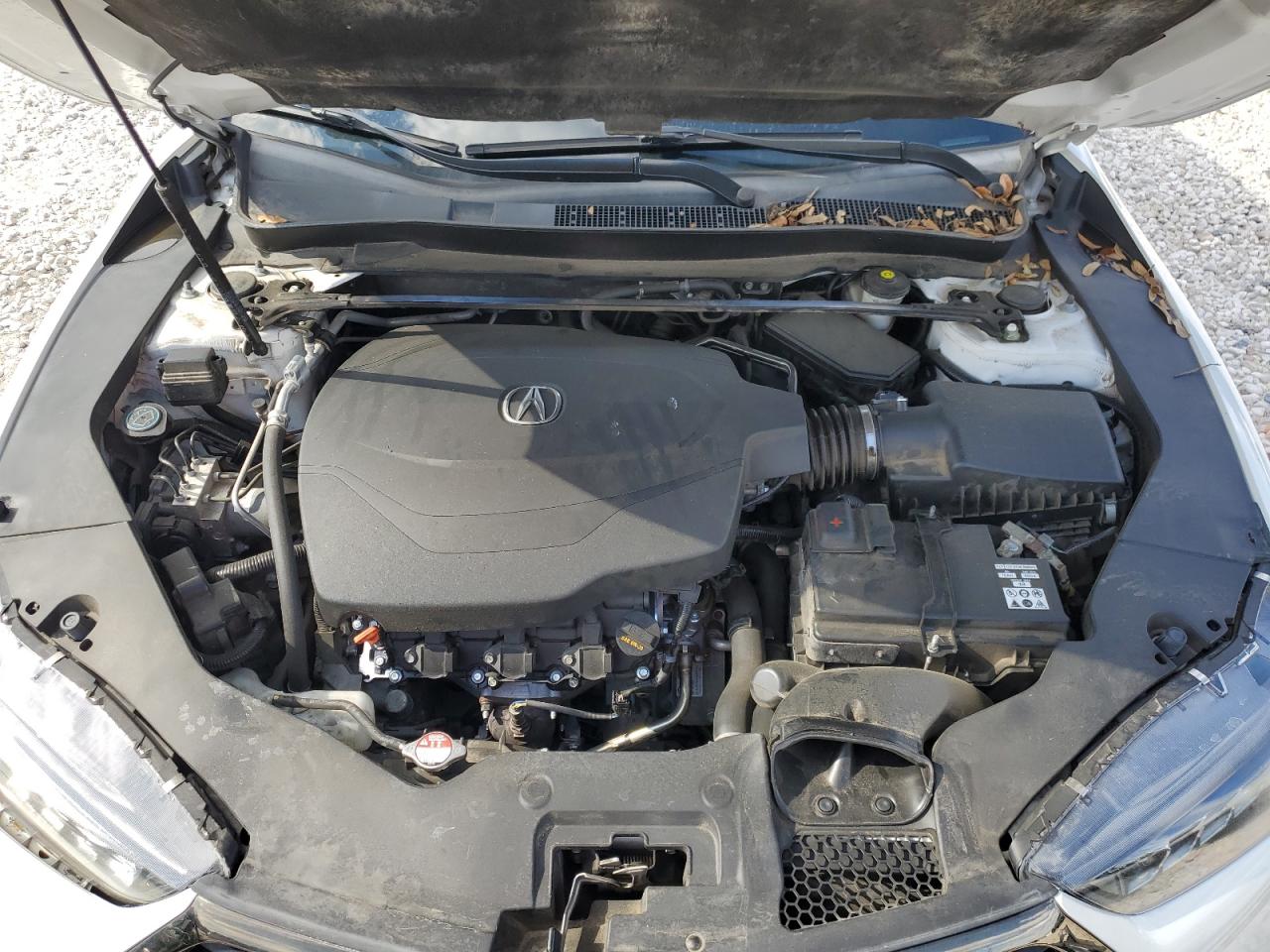 2019 Acura Tlx Technology VIN: 19UUB3F61KA002301 Lot: 56480095