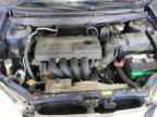2003 Toyota Corolla Ce на продаже в Lexington, KY - Normal Wear