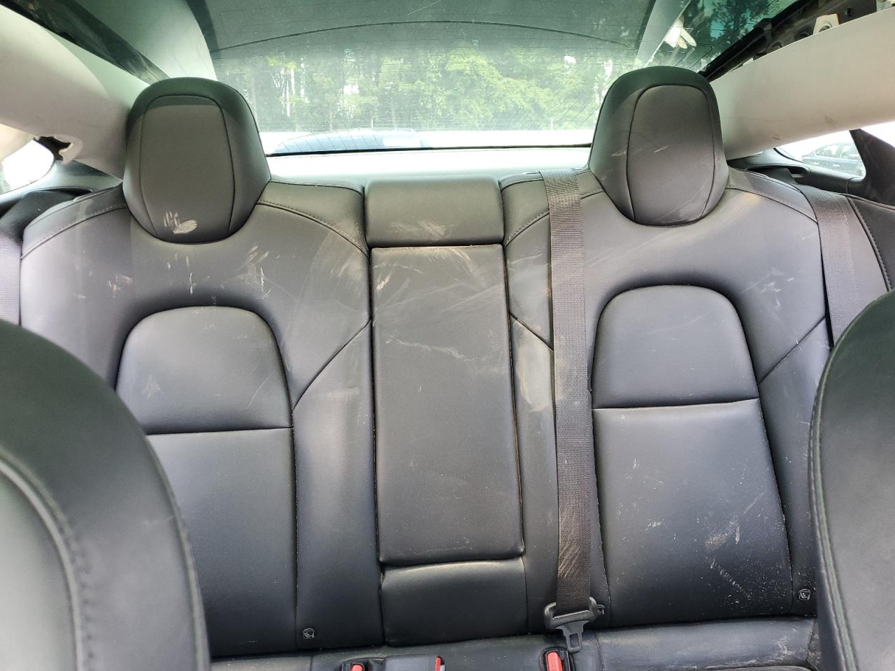 2019 Tesla Model 3 VIN: 5YJ3E1EA7KF306672 Lot: 56193695
