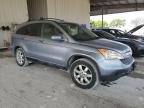 2008 Honda Cr-V Exl for Sale in Homestead, FL - Rear End