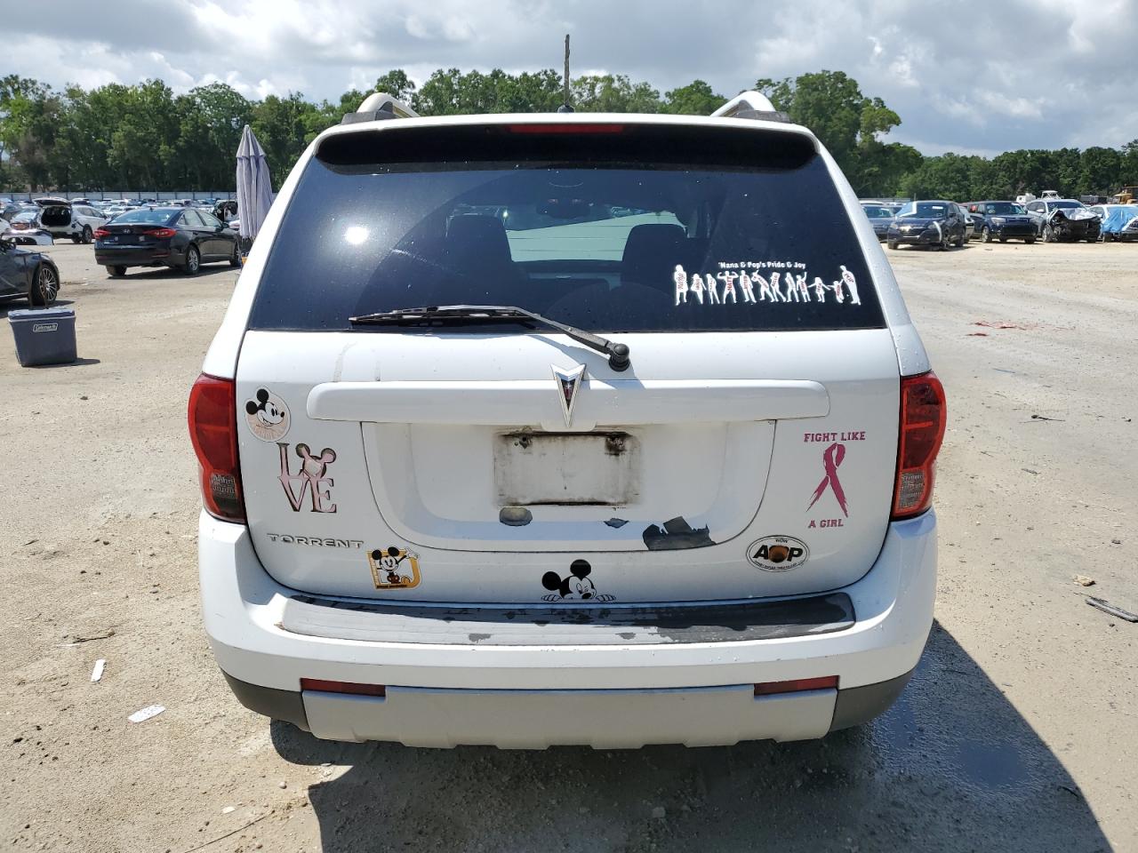 2009 Pontiac Torrent VIN: 2CKDL33F596202467 Lot: 58896555