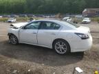 Baltimore, MD에서 판매 중인 2013 Nissan Maxima S - Front End
