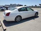 2006 Nissan Maxima Se na sprzedaż w Bakersfield, CA - Minor Dent/Scratches