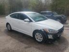 2017 HYUNDAI ELANTRA SE à vendre chez Copart ON - COOKSTOWN