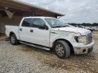 2011 Ford F150 Supercrew for Sale in Tanner, AL - Side