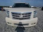 2014 Cadillac Escalade Platinum продається в Arcadia, FL - Rear End