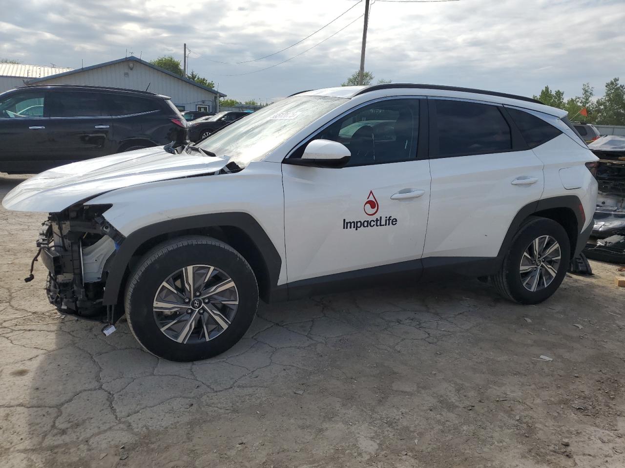 2024 Hyundai Tucson Blue for Sale in Pekin, IL - Front End