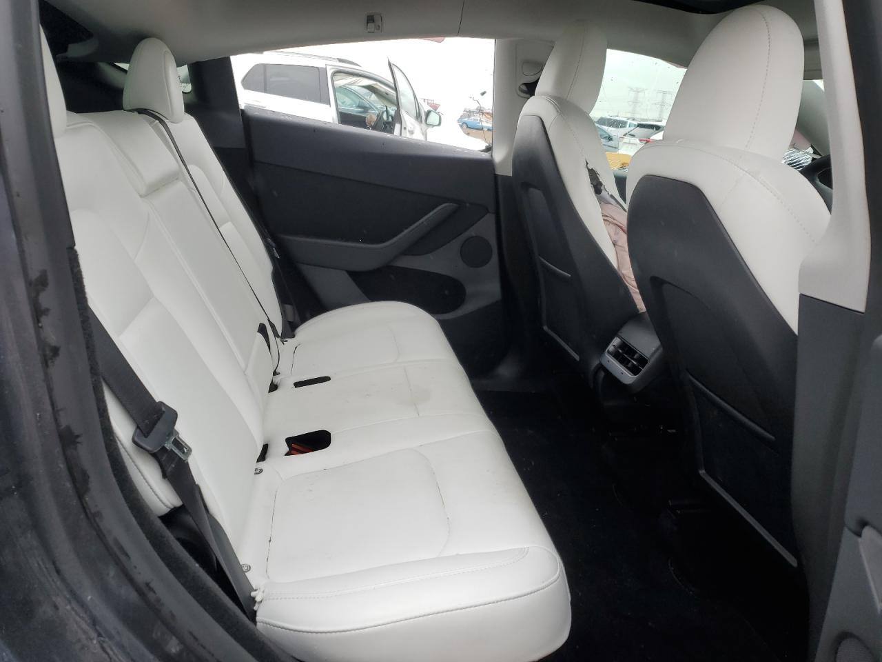2023 Tesla Model Y VIN: 7SAYGDEE5PF884364 Lot: 55474875
