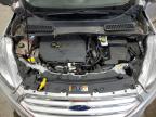 2018 Ford Escape Se   en Venta en Ham Lake, MN - Hail