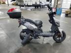 2019 Genuine Scooter Co. Roughhouse 50   for Sale in Ham Lake, MN - Side