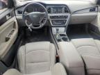 2017 Hyundai Sonata Sport for Sale in Temple, TX - Hail