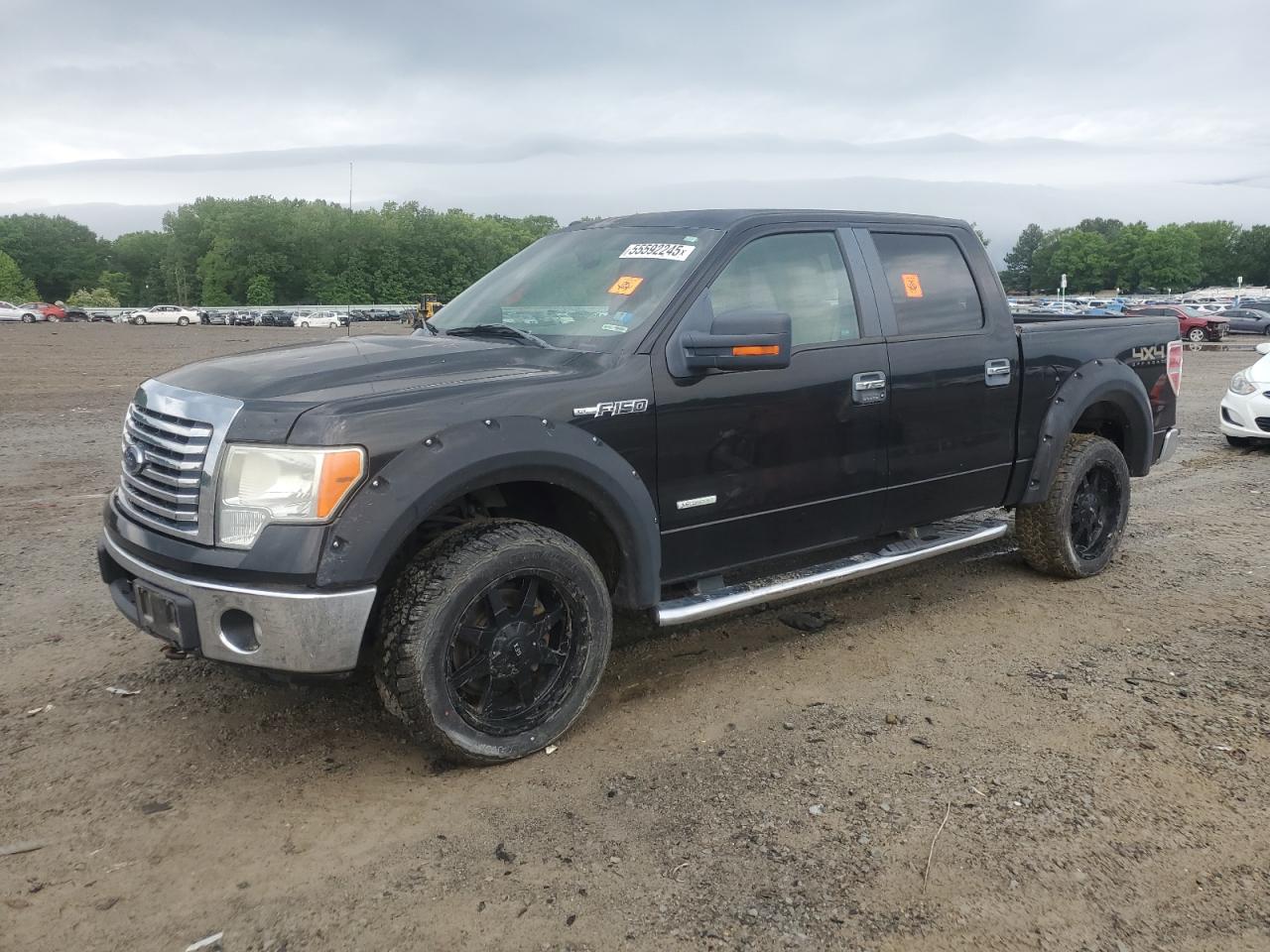 2012 Ford F150 Supercrew იყიდება Conway-ში, AR - Hail