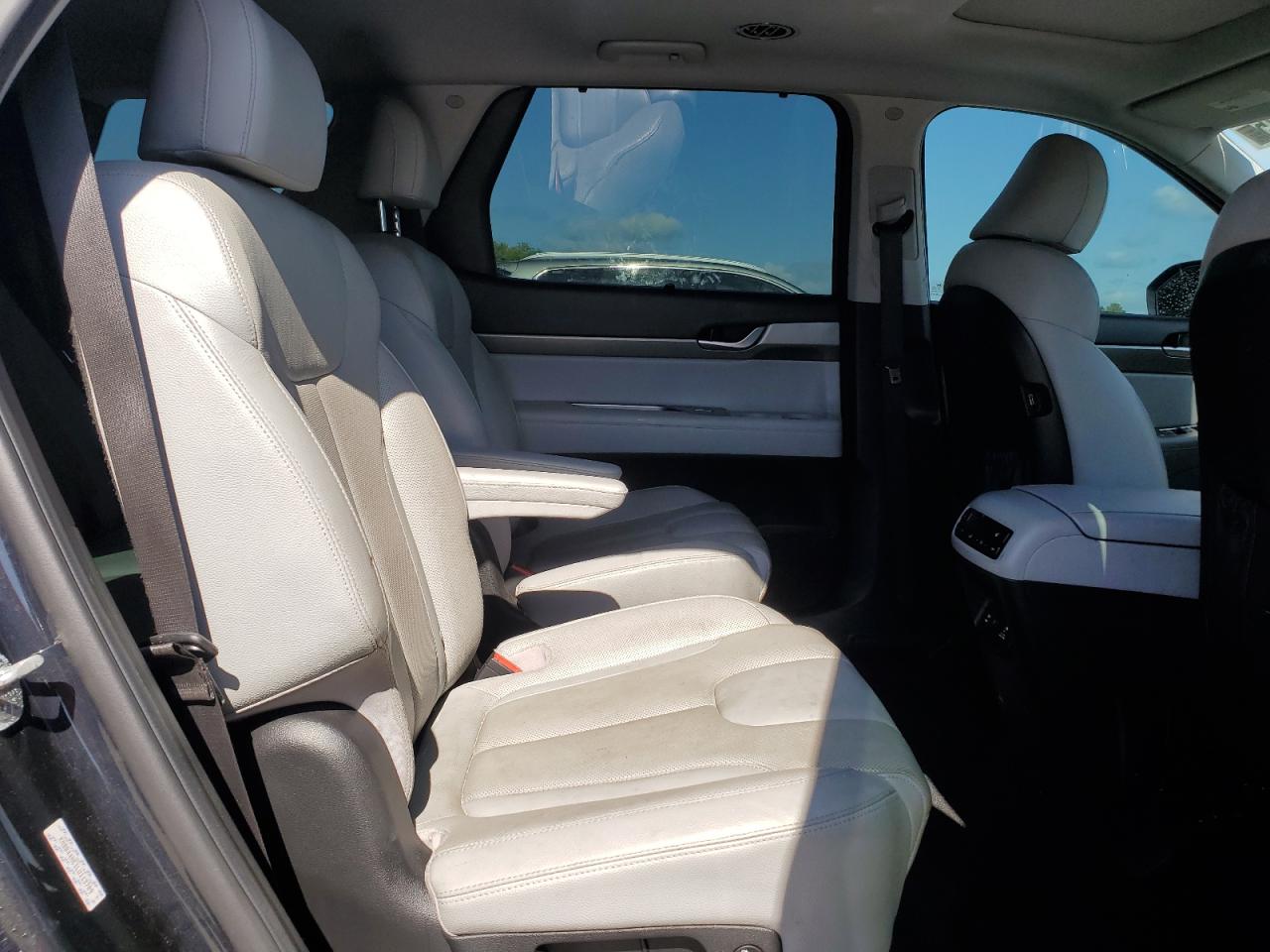 2020 Hyundai Palisade Sel VIN: KM8R44HE1LU113709 Lot: 57044475