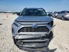 2023 Toyota Rav4 Le na sprzedaż w Taylor, TX - Front End
