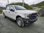 2017 Ford F150 Supercrew en Venta en Anchorage, AK - Normal Wear