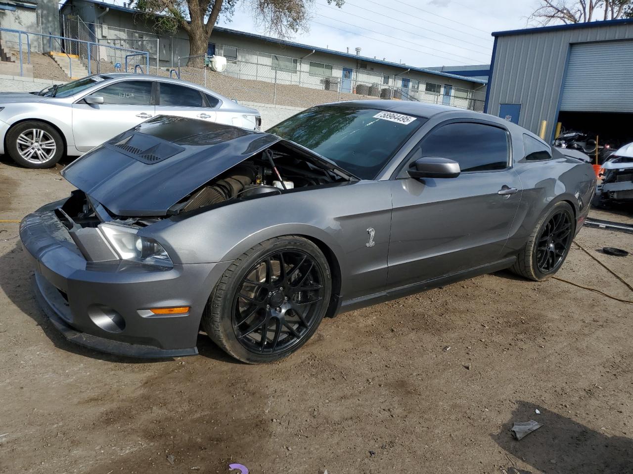 2011 Ford Mustang Shelby Gt500 للبيع في Albuquerque، NM - Front End