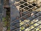 1992 Home Utility Tr for Sale in Gaston, SC - Minor Dent/Scratches