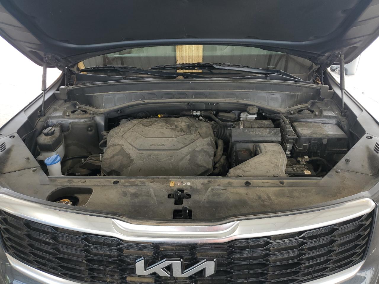 2022 Kia Telluride Ex VIN: 5XYP3DHC1NG215920 Lot: 57167605