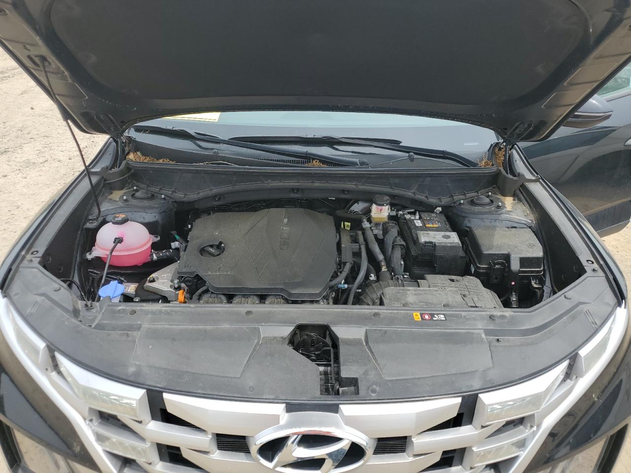 2024 Hyundai Santa Cruz Sel VIN: 5NTJBDDE2RH116507 Lot: 57337055