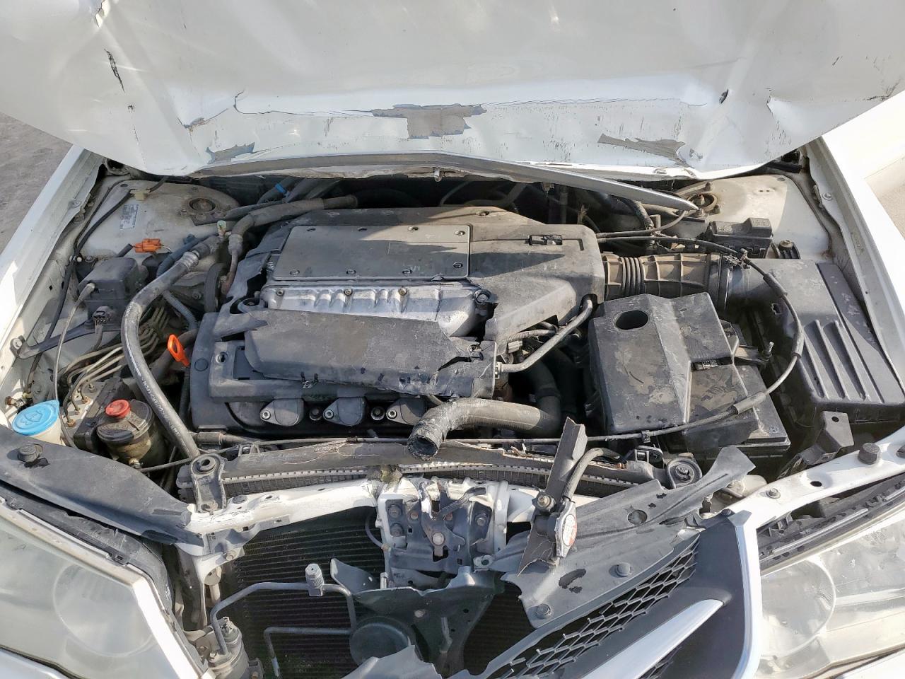 2002 Acura 3.2Tl VIN: 19UUA56642A052687 Lot: 56128785